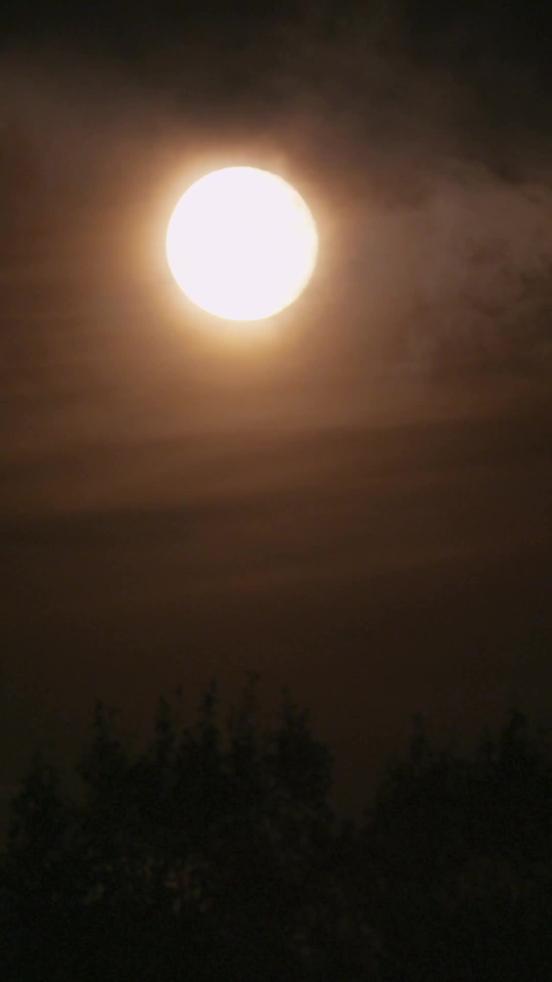 Episode 18 - Mancini’s Forbidden Bride